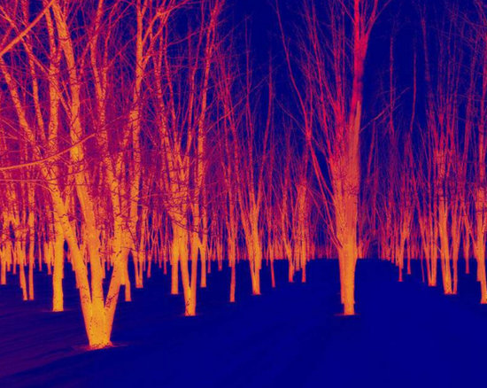 紅外光波段看到的圖像 紅外光波段看到的圖像